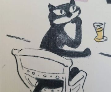 Whiskers To Tails Cat Hospital