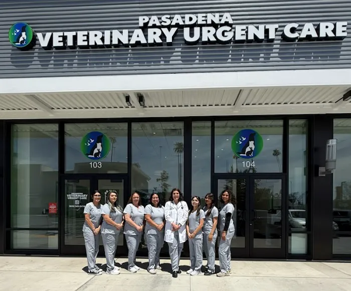 Pasadena Veterinary Urgent Care 12