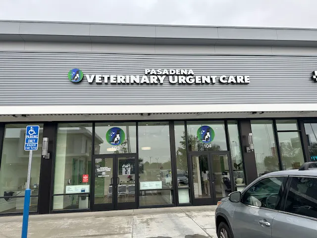 Pasadena Veterinary Urgent Care 12