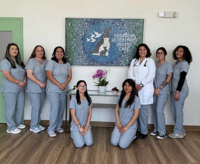 Pasadena Veterinary Urgent Care 12