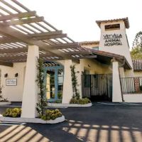 Vet Villa Animal Hospital ico