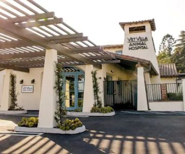 Vet Villa Animal Hospital