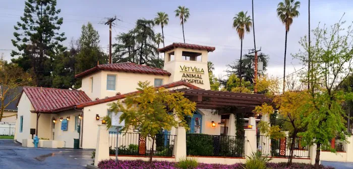 Vet Villa Animal Hospital 6