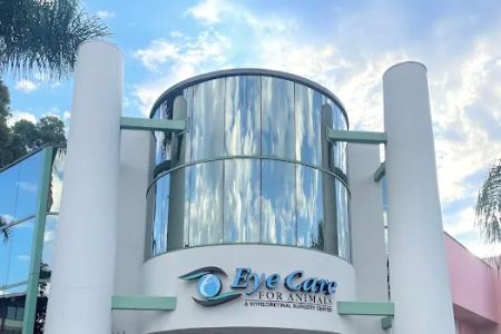 Eye Care for Animals - Pasadena