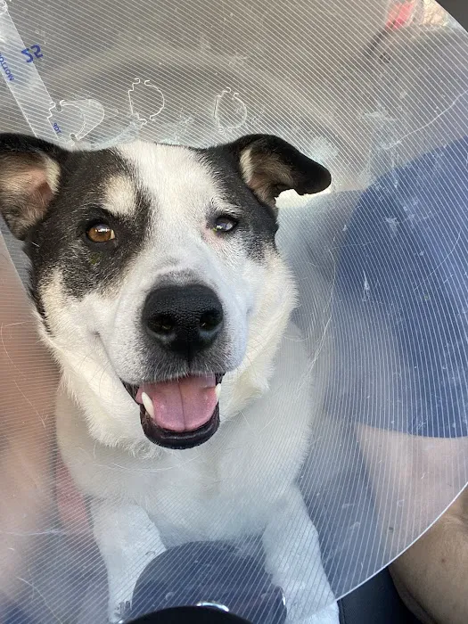 Eye Care for Animals - Pasadena 12