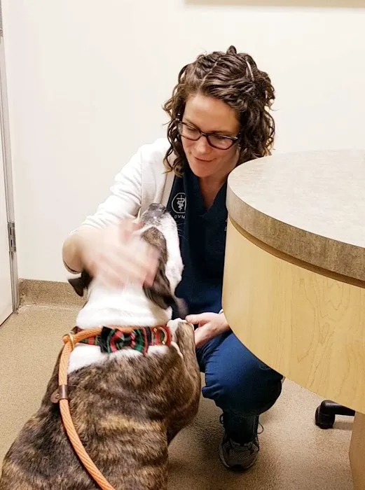 Animal Dermatology Clinic 12