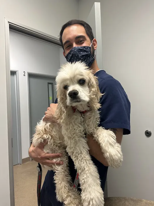 Animal Dermatology Clinic 12