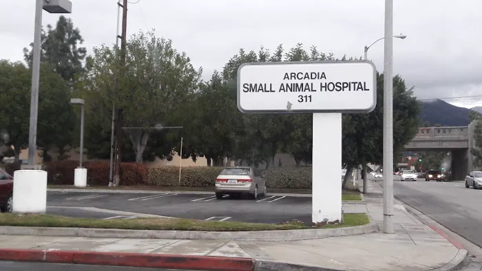Arcadia Animal Hospital 12