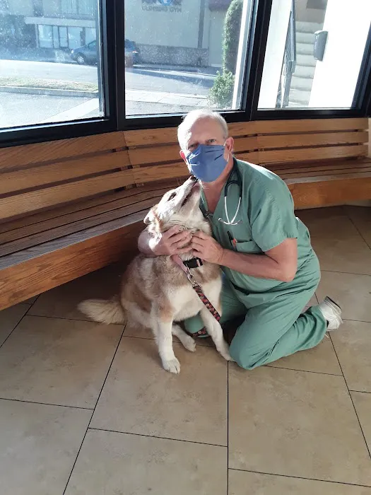 Arcadia Animal Hospital 12
