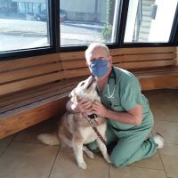 Arcadia Animal Hospital ico