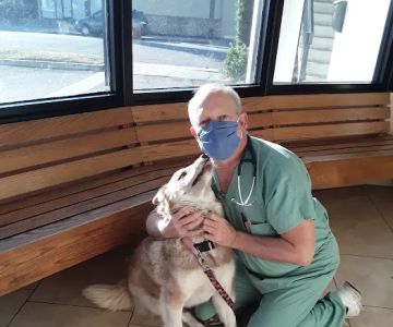Arcadia Animal Hospital