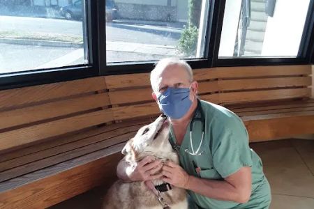 Arcadia Animal Hospital