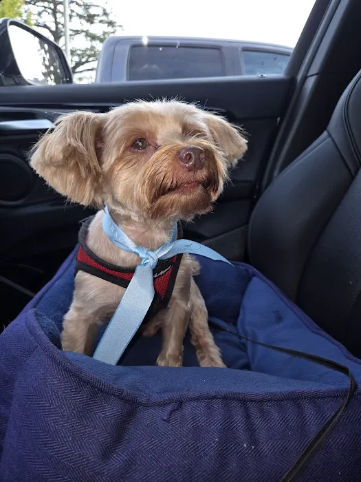 Banfield Pet Hospital 1