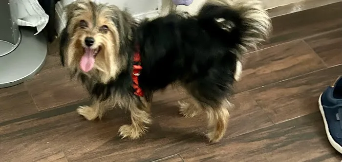 Banfield Pet Hospital 5