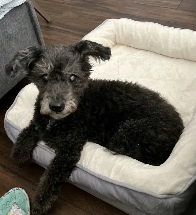 Banfield Pet Hospital 3
