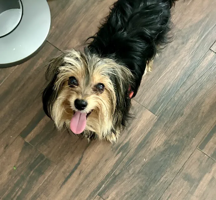 Banfield Pet Hospital 2