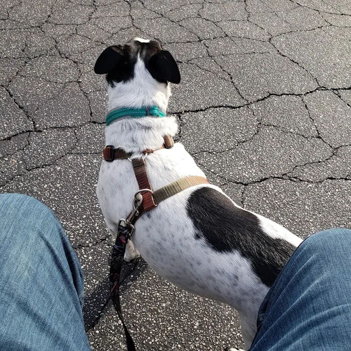 Banfield Huntington Veterinary Hospital 8