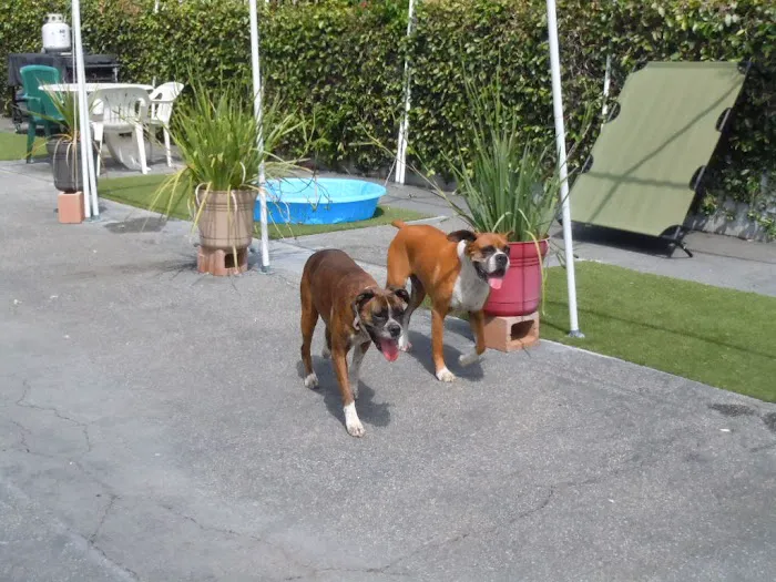 Banfield Huntington Veterinary Hospital 7