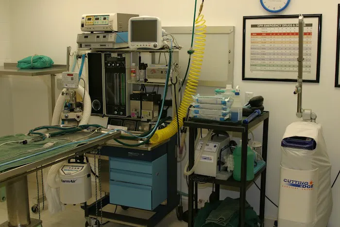 Banfield Huntington Veterinary Hospital 10