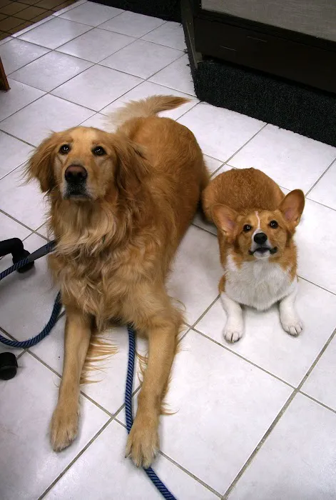 Banfield Huntington Veterinary Hospital 9
