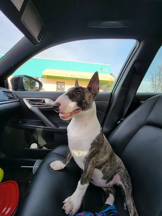 Banfield Huntington Veterinary Hospital 1