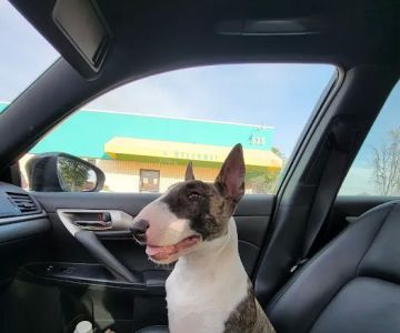 Banfield Huntington Veterinary Hospital