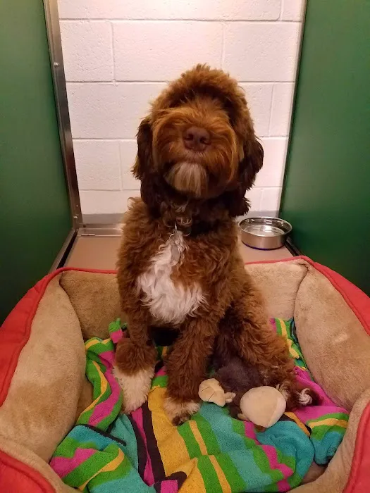 Monrovia Animal Medical Center 1