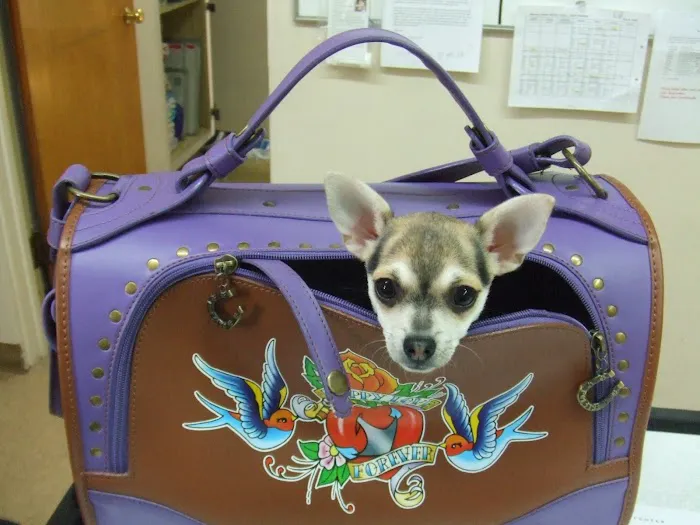 Monrovia Animal Medical Center 8