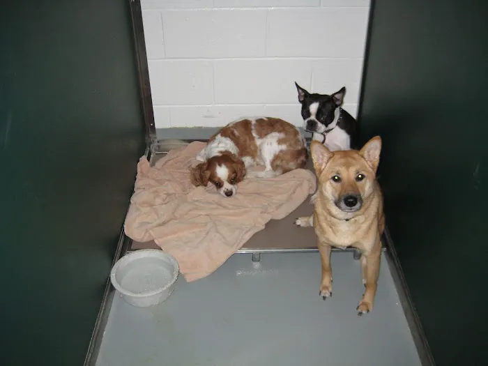 Monrovia Animal Medical Center 10
