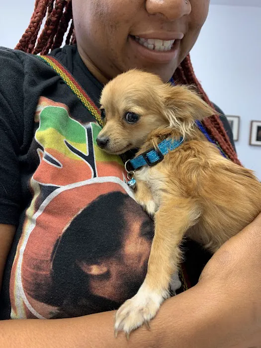 Best Friends Pet Hospital 12