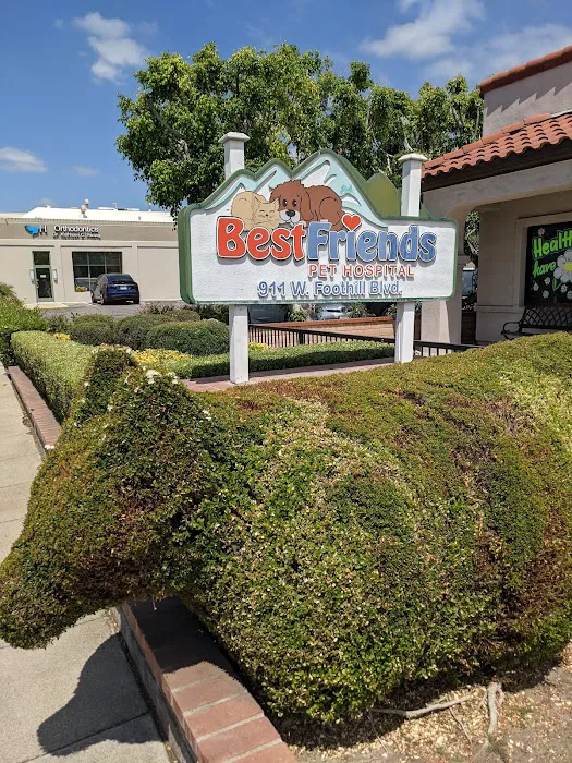 Best Friends Pet Hospital 12