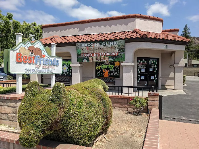 Best Friends Pet Hospital 12