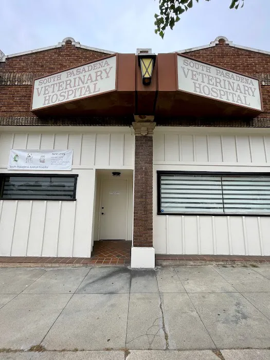 South Pasadena Animal Hospital 10