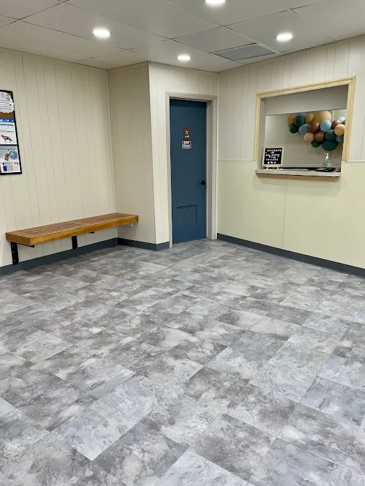 South Pasadena Animal Hospital 8