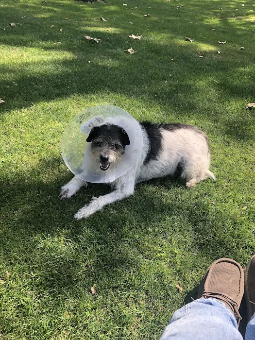 South Pasadena Animal Hospital 1