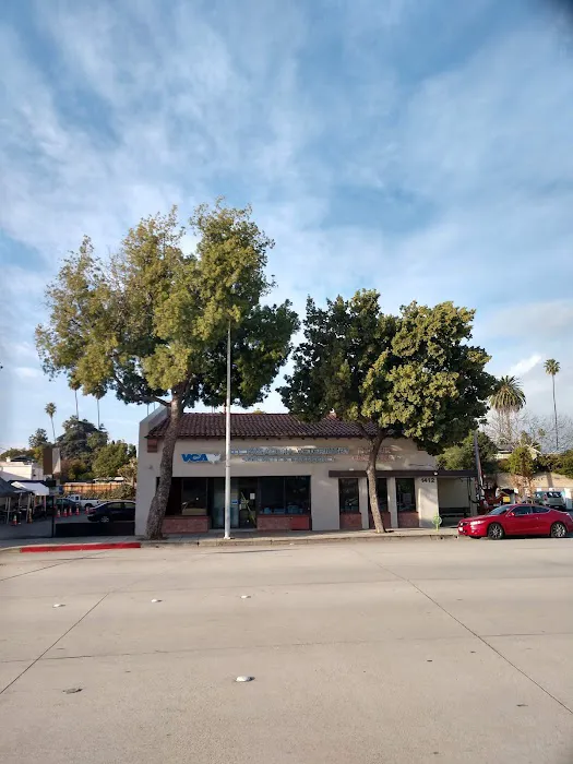 VCA TLC Pasadena Veterinary Specialty and Emergency 4