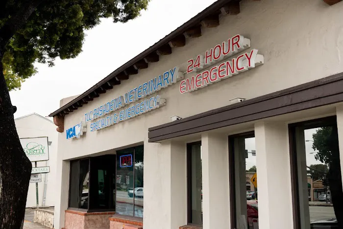 VCA TLC Pasadena Veterinary Specialty and Emergency 6