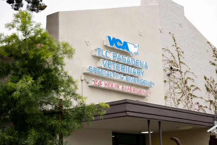 VCA TLC Pasadena Veterinary Specialty and Emergency 3