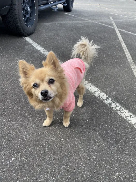 Cascade Veterinary Center, PS 5