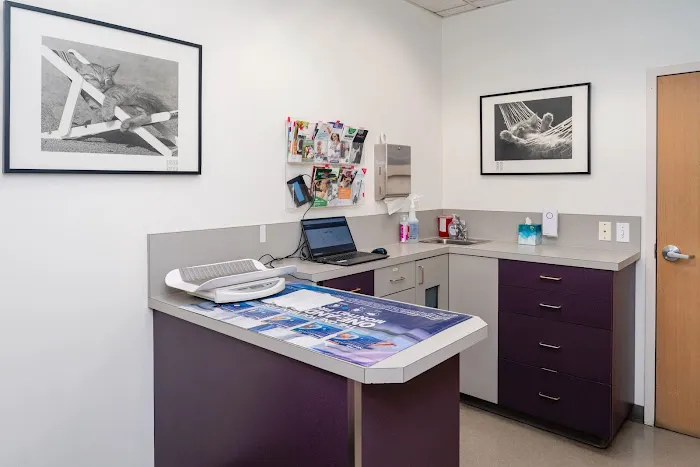 Cascade Veterinary Center, PS 6