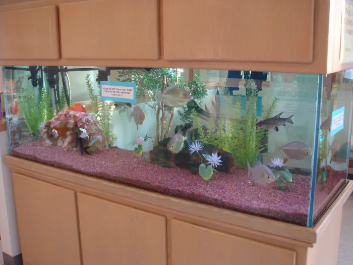 VCA Animal Medical Center 6