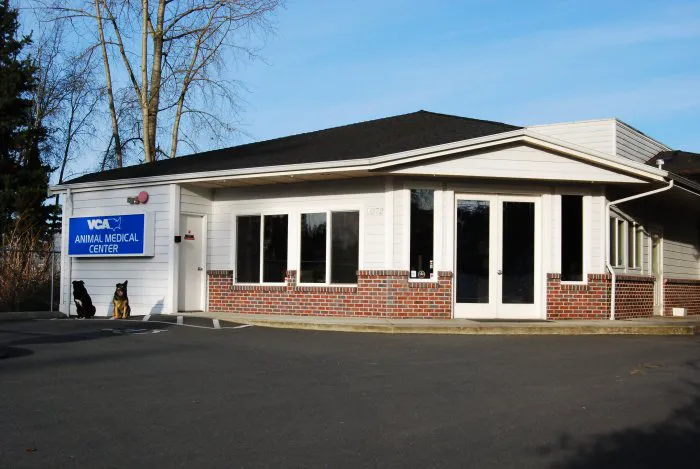 VCA Animal Medical Center 5