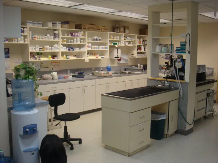 VCA Animal Medical Center 7