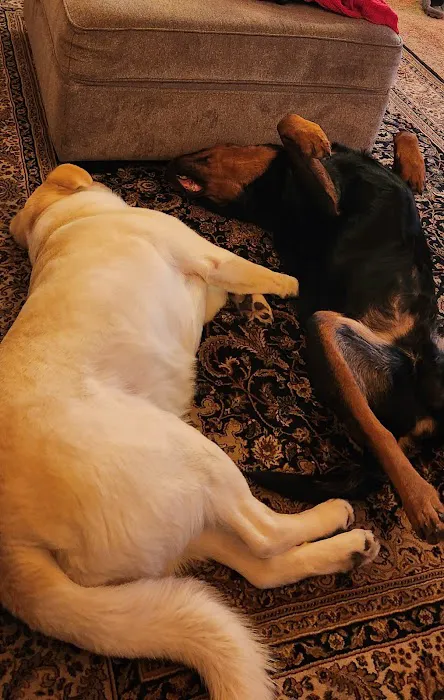 Quil Ceda Veterinary Clinic 6