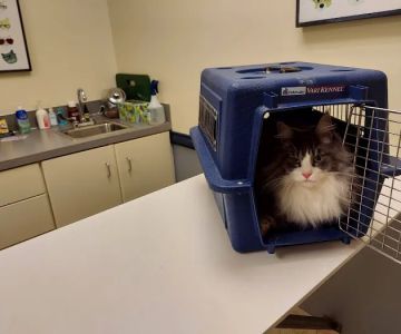 Marysville Veterinary Hospital