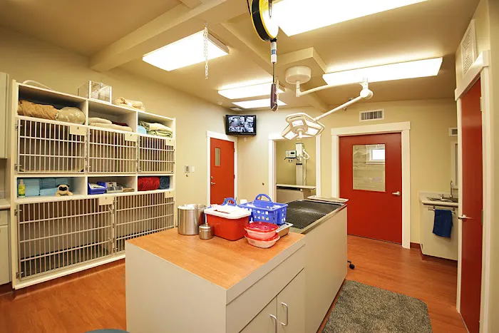 Animal Hospital By the Sea: Dieden Jean DVM 8