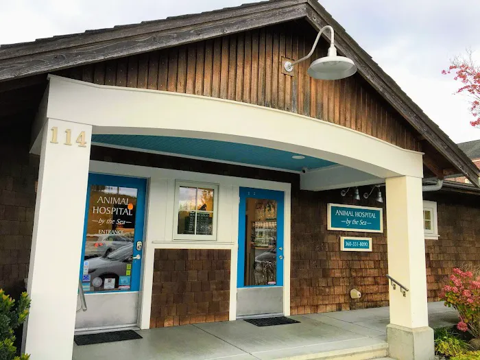 Animal Hospital By the Sea: Dieden Jean DVM 5