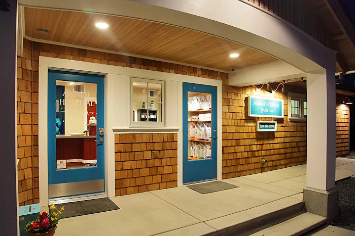 Animal Hospital By the Sea: Dieden Jean DVM 6