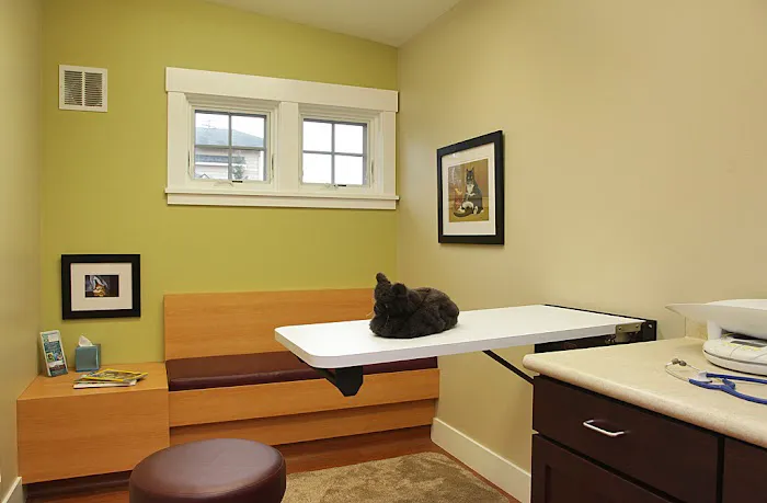 Animal Hospital By the Sea 8