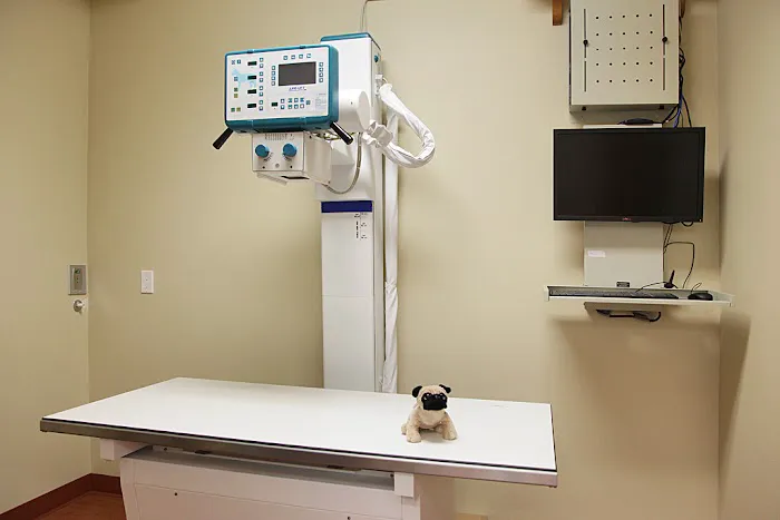 Animal Hospital By the Sea 7
